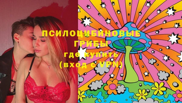 крисы Алзамай